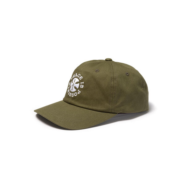 Stance Standard Adjustable Cap Olive