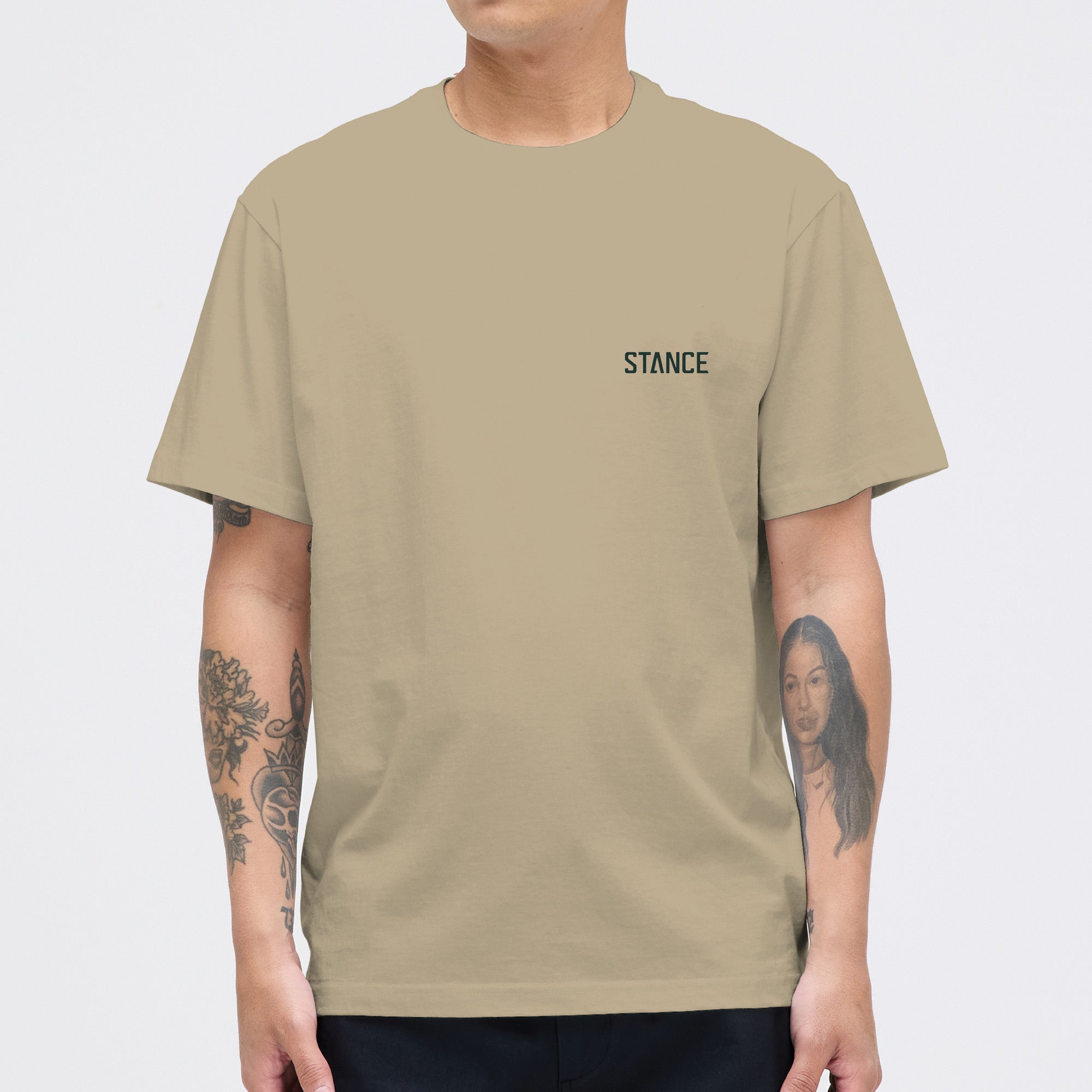 Stance Mountain T Shirt Khaki|model