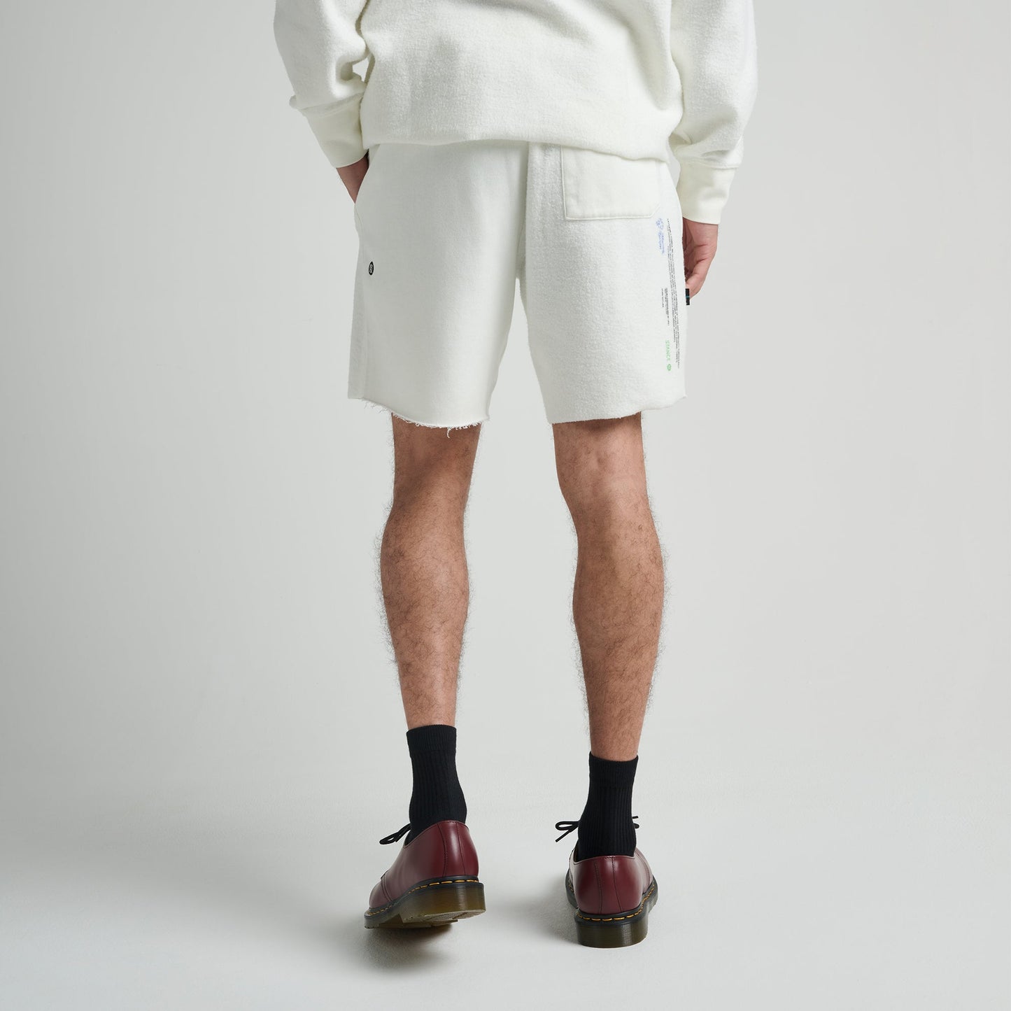 Stance Mercury Shorts Canvas |model