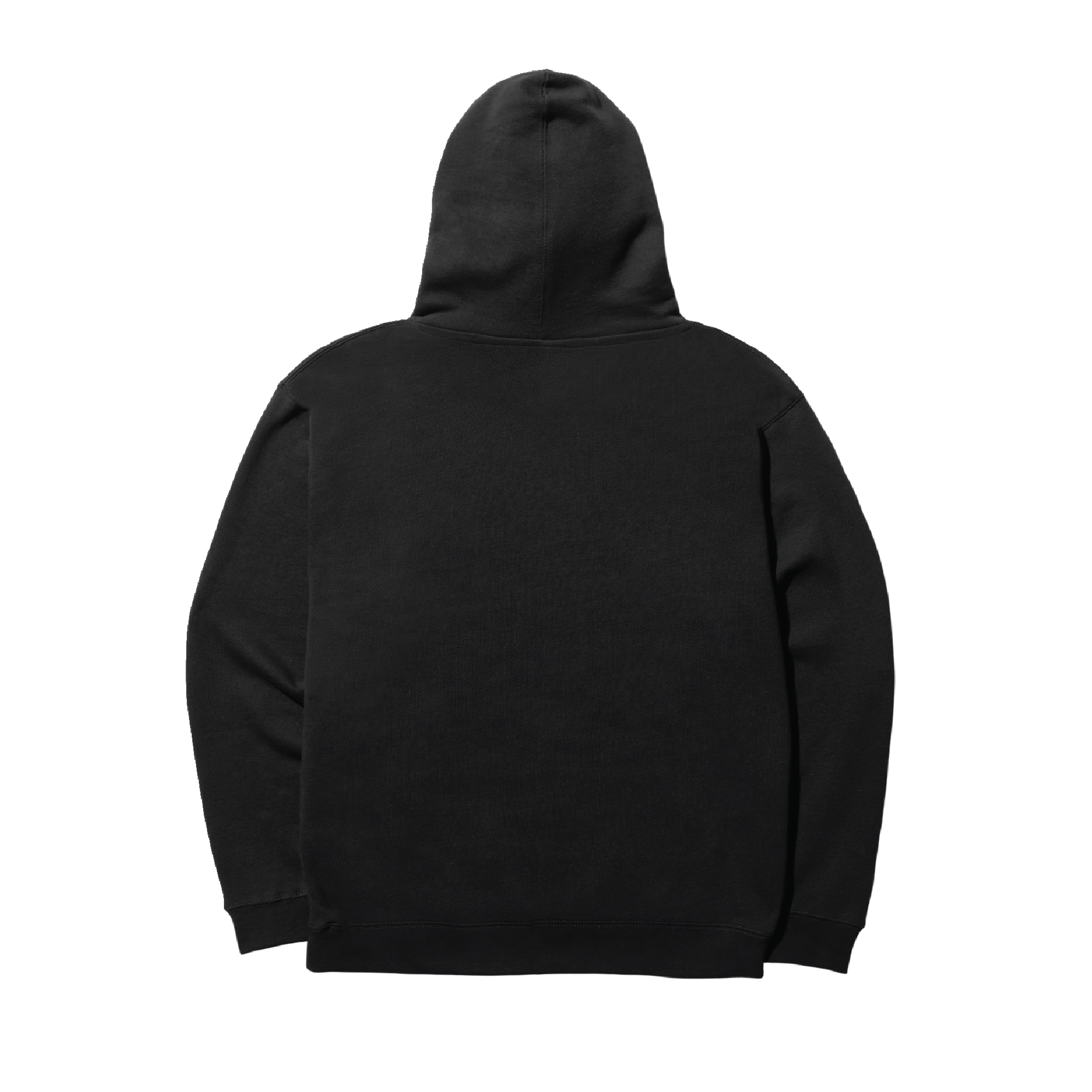 Stance Winged Hoodie Black