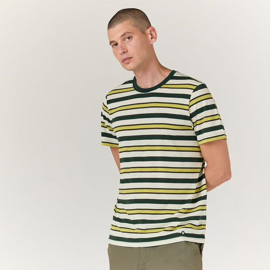 Stance Premiere Tee Pine |model