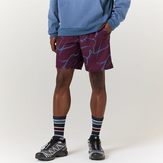Stance Complex Hybrid Shorts 7" Feige |model