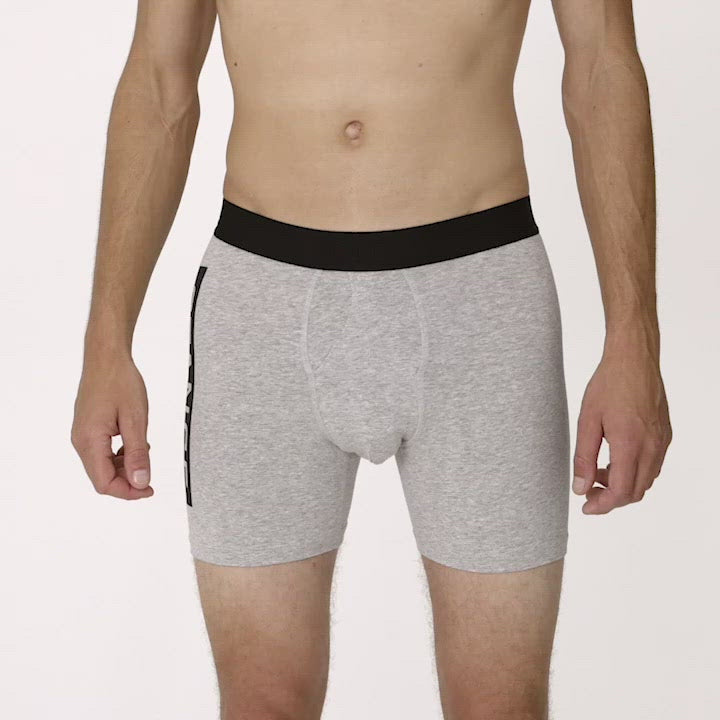 Stance OG BOXER BRIEF Graumeliert