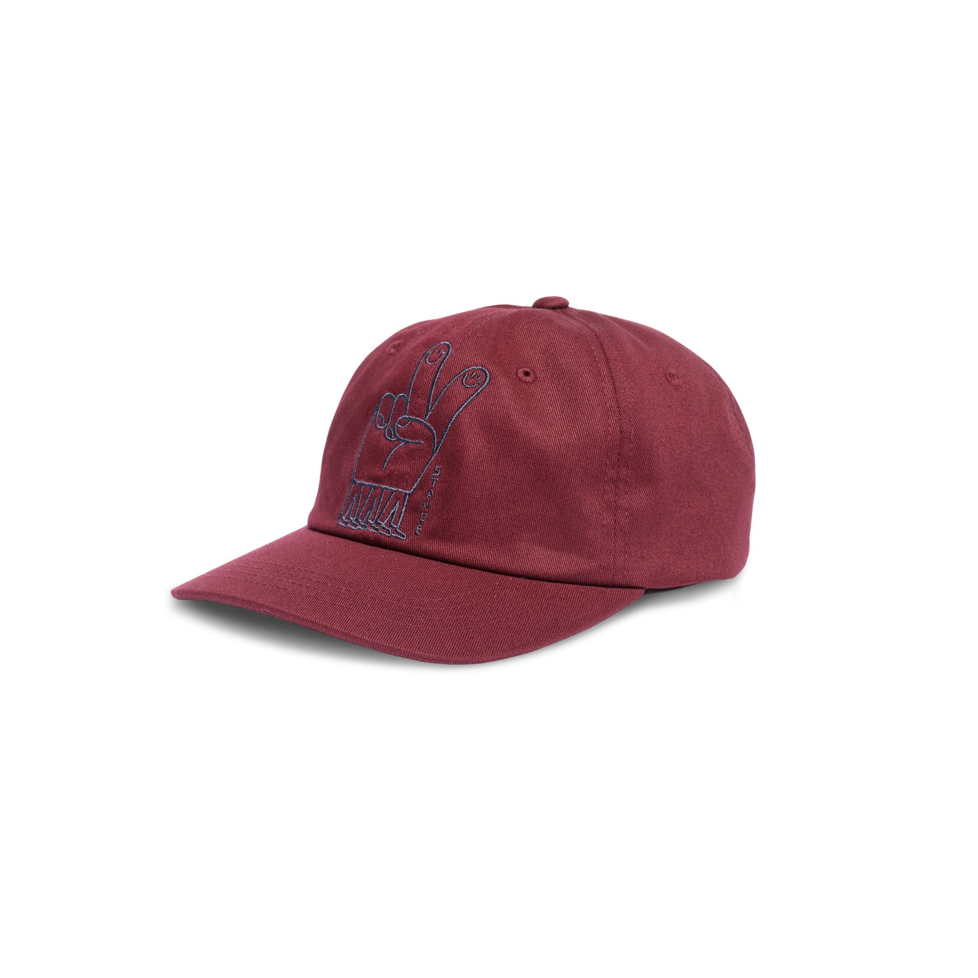 Stance Standard Adjustable Cap Weinrot