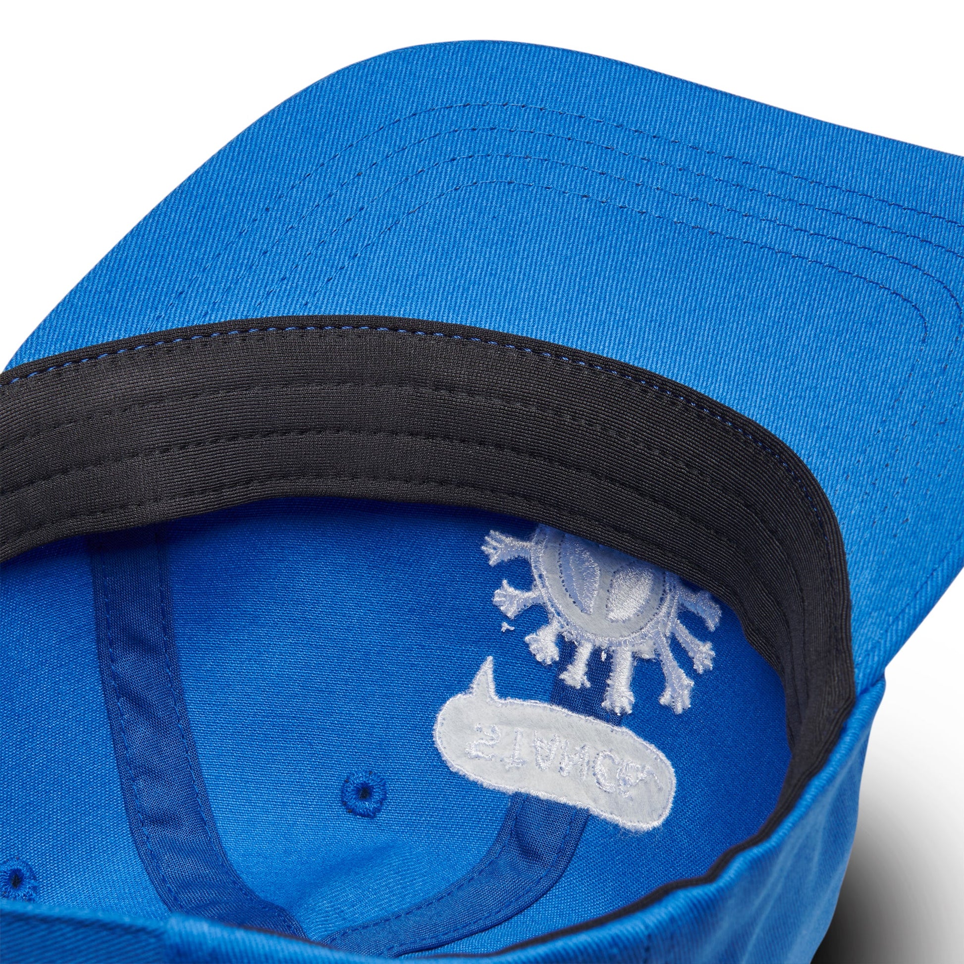 Stance Standard Adjustable Cap Blau