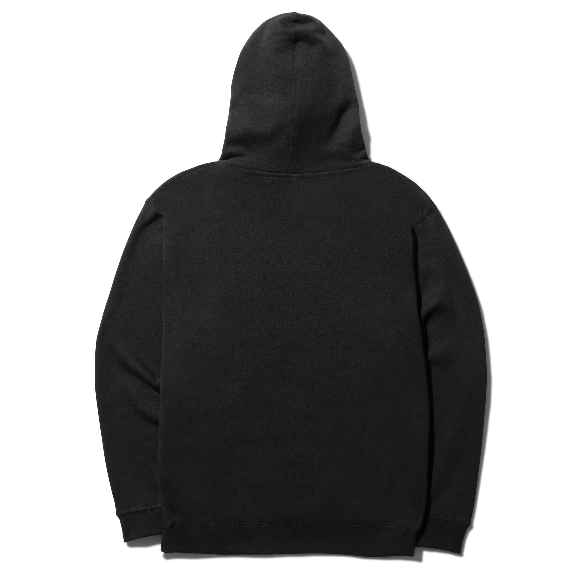 Stance Established Hoodie Schwarz