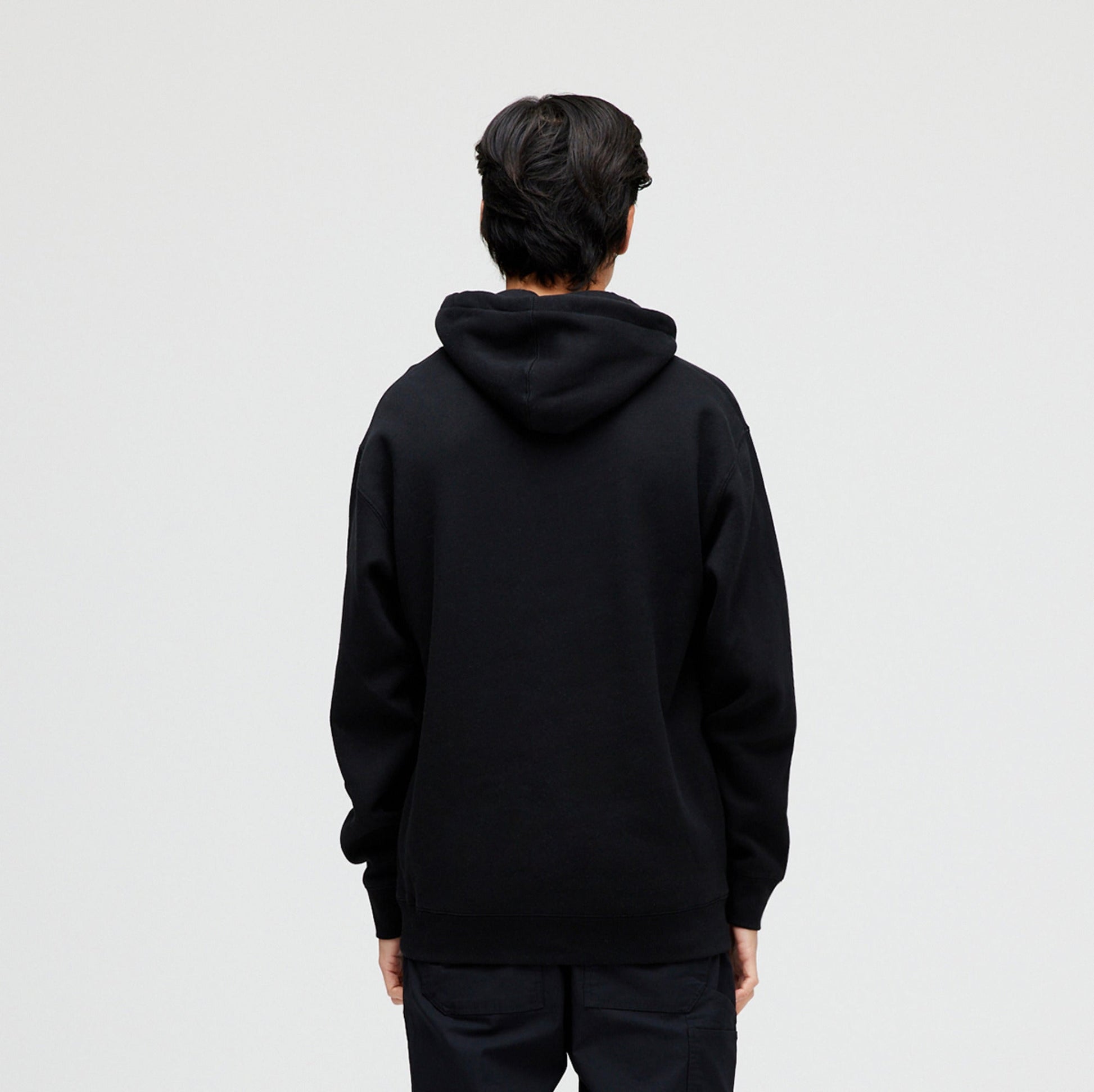 Stance Established Hoodie Schwarz |model