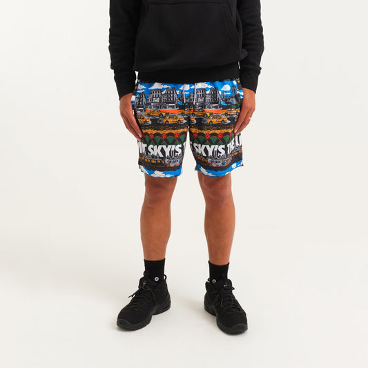 Stance Big Complex Shorts Bunt |model