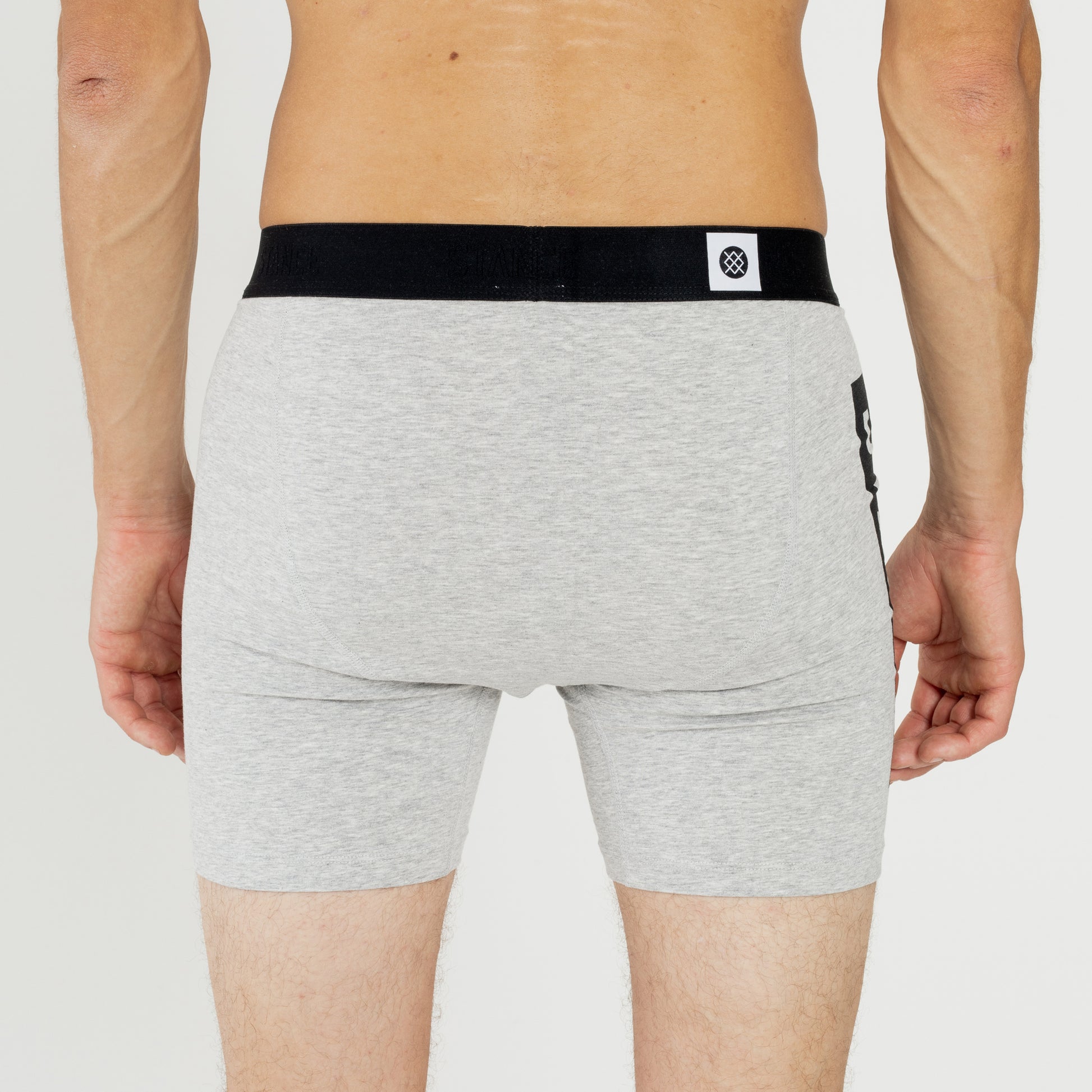 Stance OG BOXER BRIEF Graumeliert