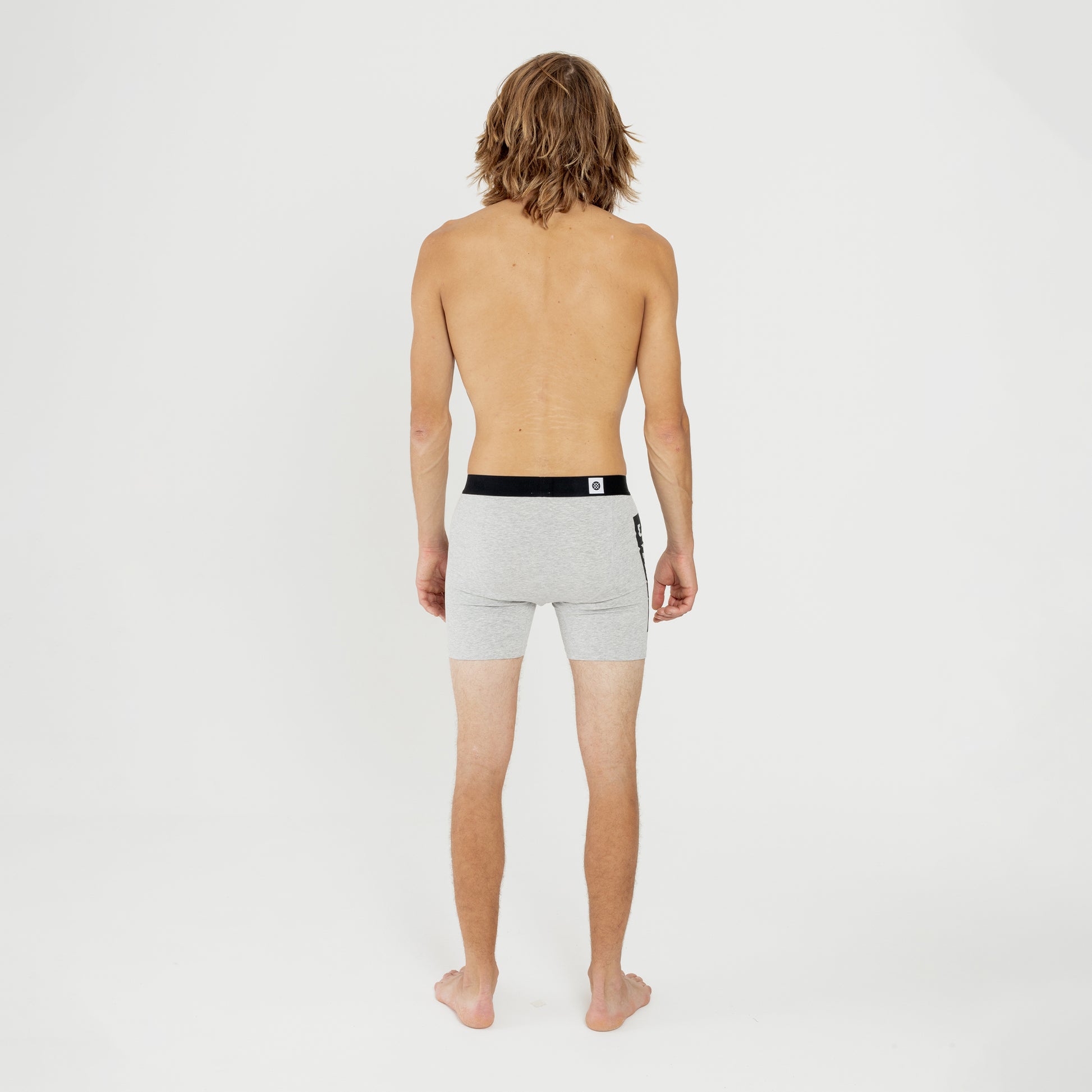 Stance OG BOXER BRIEF Graumeliert